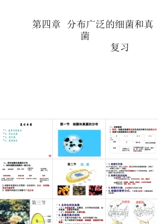 八年级生物上册 5.4 细菌和真菌复习课件 （新版）新人教版-（新版）新人教版初中八年级上册生物课件