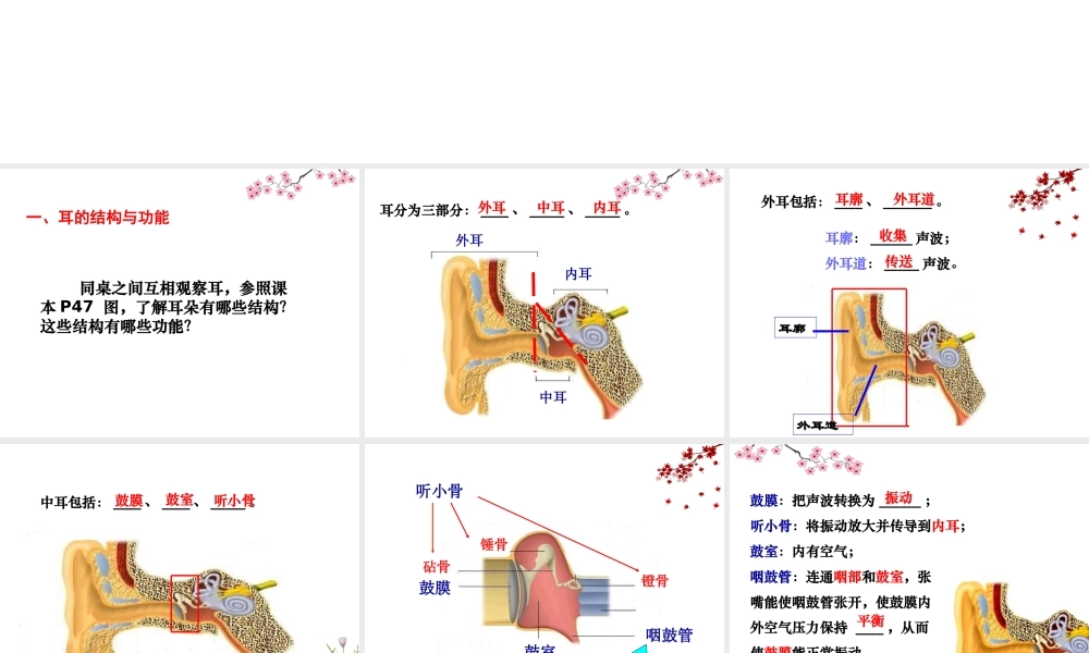 八年级生物上册 6.16.2《人体对信息的感知》第2课时课件2 （新版）苏科版-（新版）苏科版初中八年级上册生物课件