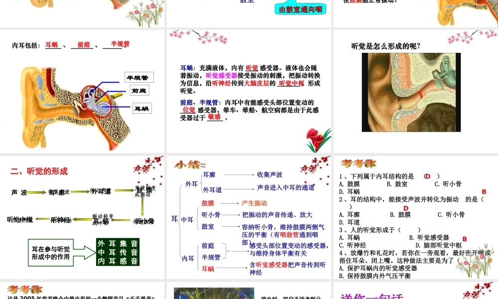 八年级生物上册 6.16.2《人体对信息的感知》第2课时课件2 （新版）苏科版-（新版）苏科版初中八年级上册生物课件