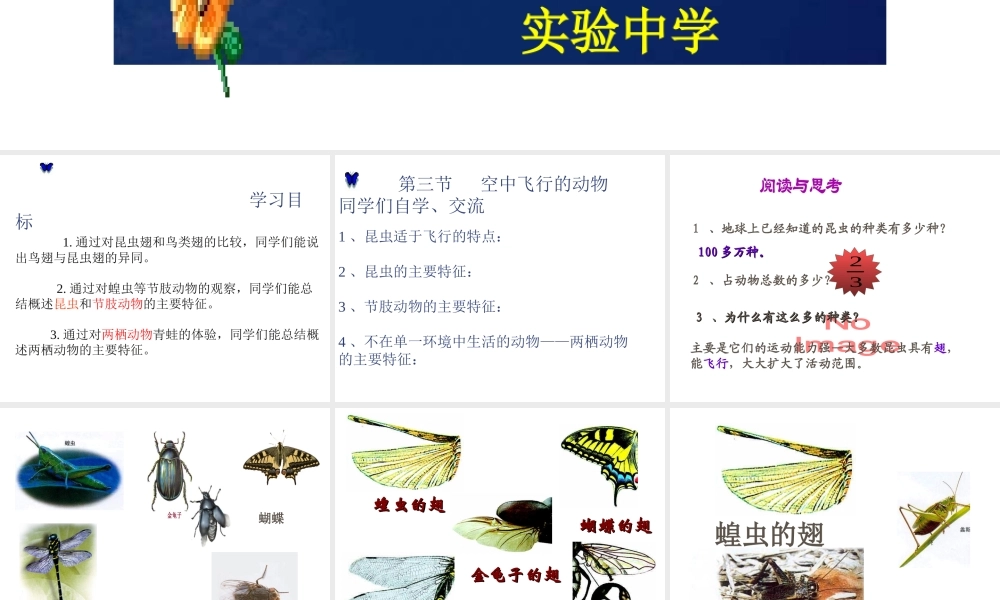 八年级生物上册 空中飞行的动物（第二课时）课件 人教新课标版