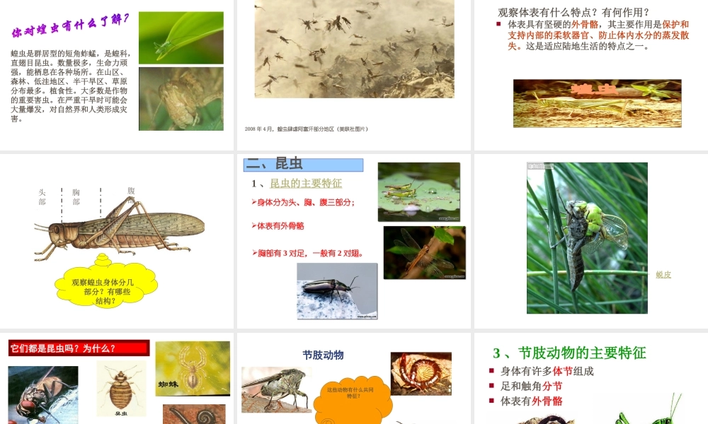 八年级生物上册 空中飞行的动物（第二课时）课件 人教新课标版