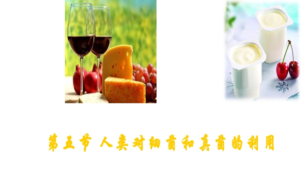 八年级生物上册 5.4.5 人类对细菌和真菌的利用课件 新人教版-新人教版初中八年级上册生物课件