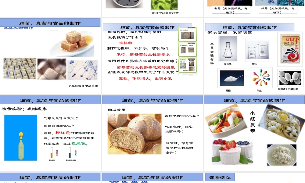 八年级生物上册 5.4.5 人类对细菌和真菌的利用课件 新人教版-新人教版初中八年级上册生物课件
