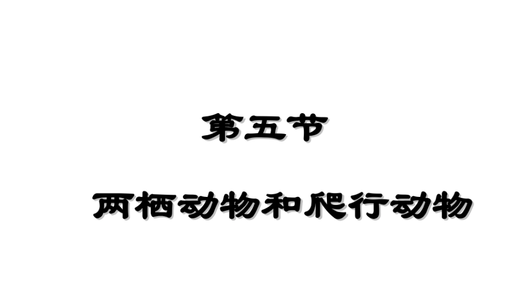 八年级生物上册 5.1.5《两栖动物和爬行动物》课件4 （新版）新人教版-（新版）新人教版初中八年级上册生物课件