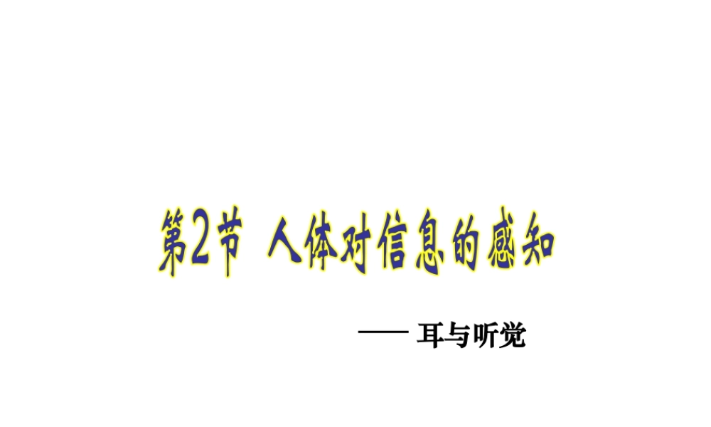 八年级生物上册 6.16.2《人体对信息的感知》第2课时课件2 （新版）苏科版-（新版）苏科级上册生物课件