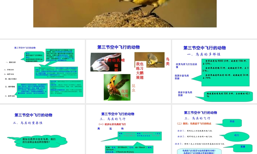 八年级生物上册 空中飞行的动物（第一课时）说课课件 人教新课标版