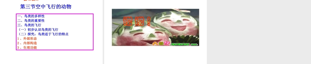 八年级生物上册 空中飞行的动物（第一课时）说课课件 人教新课标版