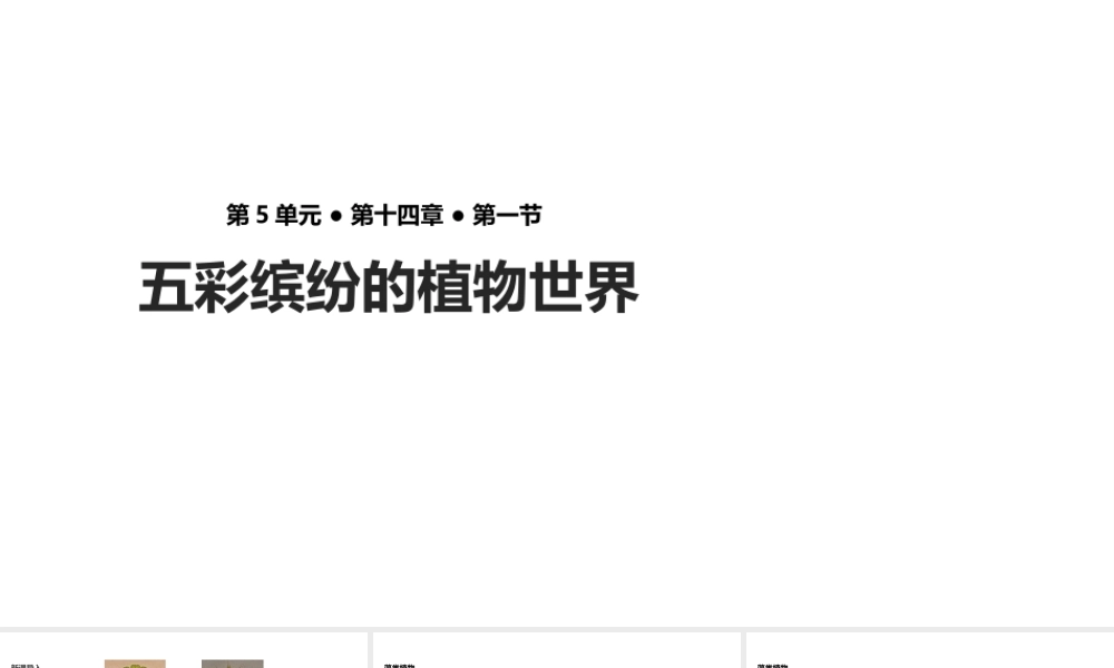 八年级生物上册 5.14.1《五彩缤纷的植物世界》课件 （新版）苏教版-（新版）苏教版初中八年级上册生物课件