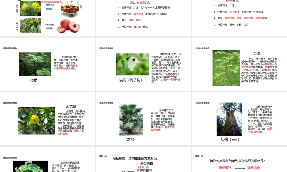 八年级生物上册 5.14.1《五彩缤纷的植物世界》课件 （新版）苏教版-（新版）苏教版初中八年级上册生物课件