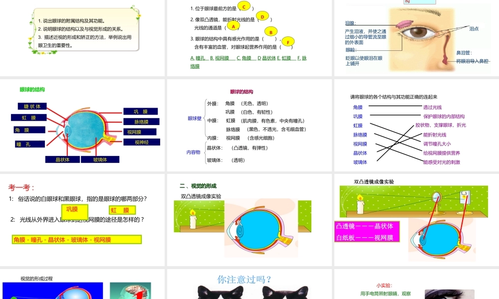 八年级生物上册 6.16.2人体对信息的感知（第1课时）课件 （新版）苏科版-（新版）苏科版初中八年级上册生物课件