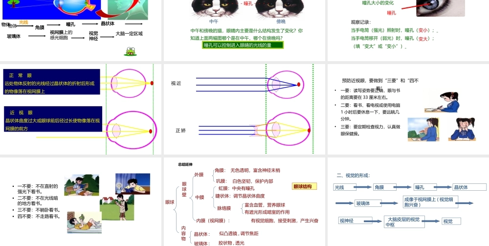八年级生物上册 6.16.2人体对信息的感知（第1课时）课件 （新版）苏科版-（新版）苏科版初中八年级上册生物课件