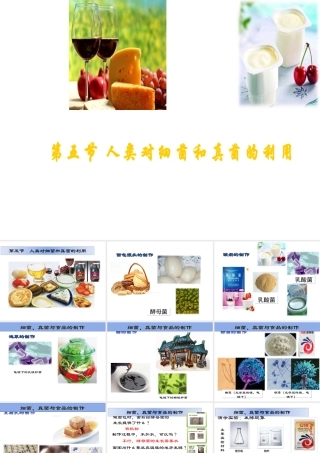 八年级生物上册 5.4.5 人类对细菌和真菌的利用课件 新人教版-新人教级上册生物课件