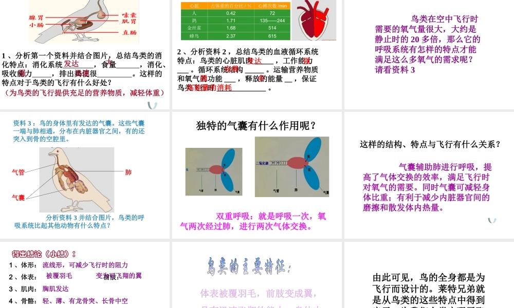 八年级生物上册 空中飞行的动物第一课时 鸟1课件 人民版