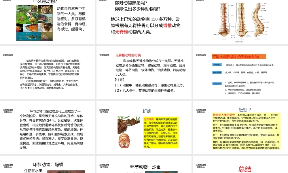 八年级生物上册 5.14.2《千姿百态的动物世界》课件 （新版）苏教版-（新版）苏教版初中八年级上册生物课件