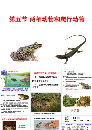 八年级生物上册 5.1.5《两栖动物和爬行动物》课件5 （新版）新人教版-（新版）新人教版初中八年级上册生物课件