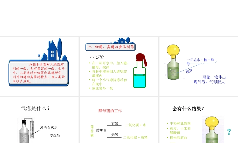 八年级生物上册 5.4.5 人类对细菌和真菌的利用课件1 （新版）新人教版
