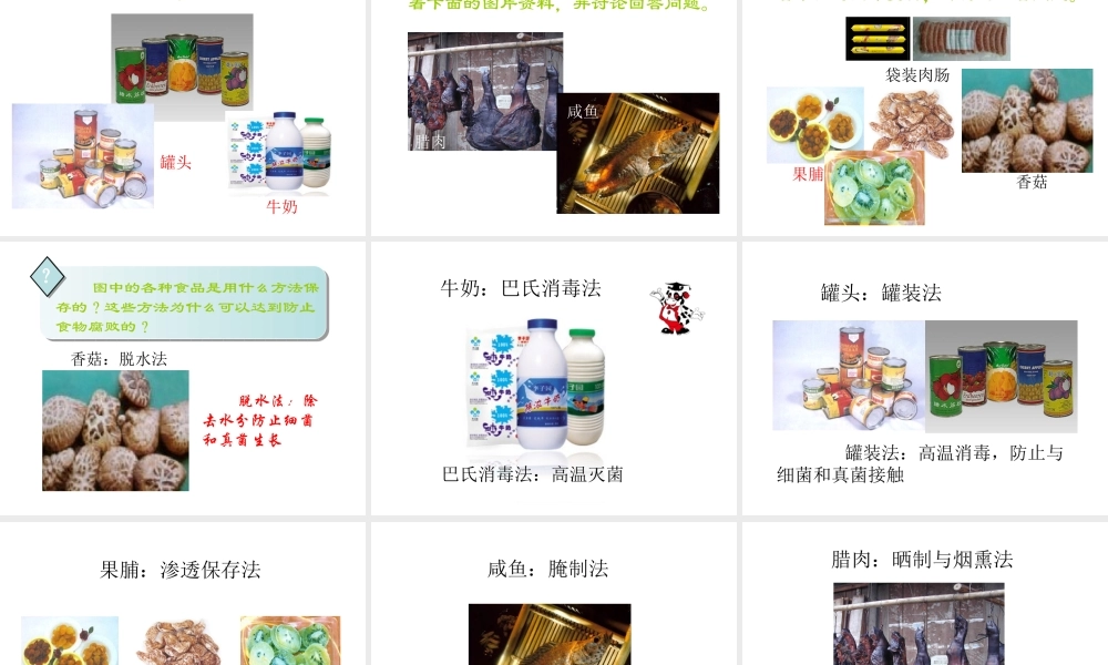 八年级生物上册 5.4.5 人类对细菌和真菌的利用课件1 （新版）新人教版