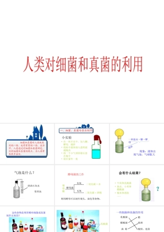 八年级生物上册 5.4.5 人类对细菌和真菌的利用课件1 （新版）新人教版