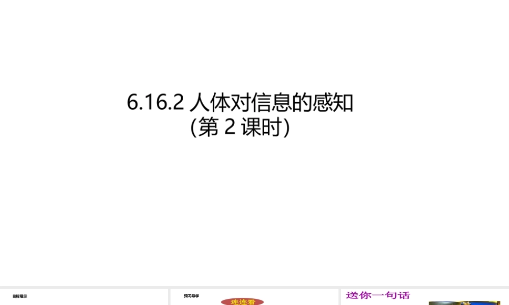 八年级生物上册 6.16.2人体对信息的感知（第2课时）课件 （新版）苏科版-（新版）苏科级上册生物课件