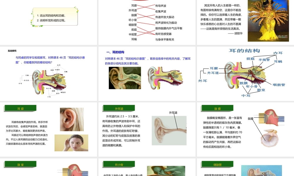 八年级生物上册 6.16.2人体对信息的感知（第2课时）课件 （新版）苏科版-（新版）苏科级上册生物课件