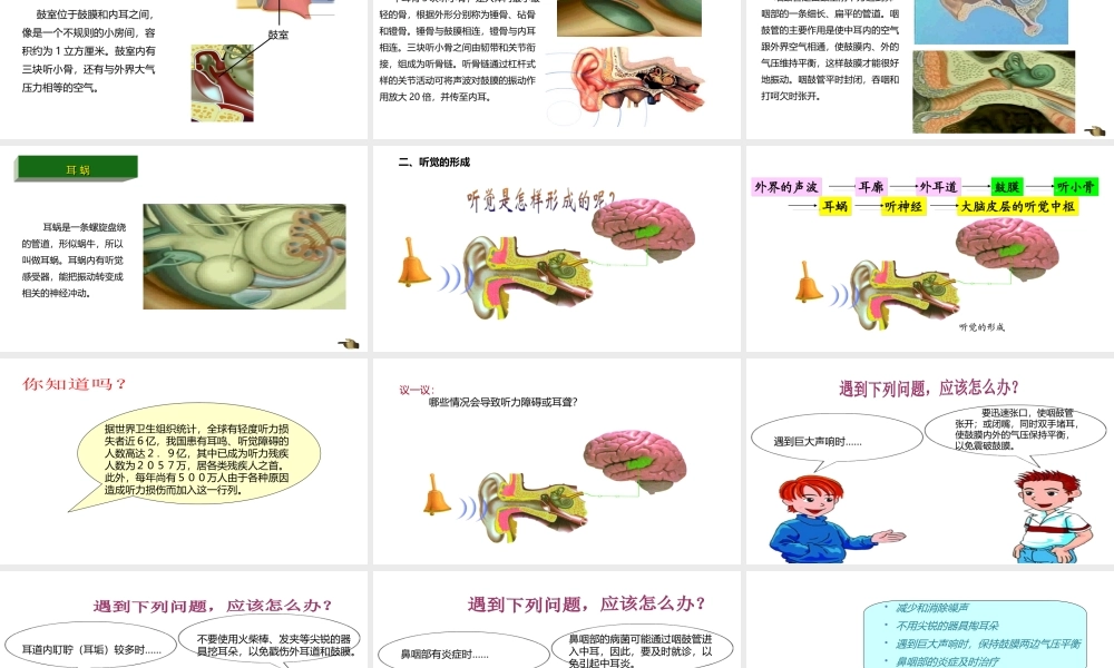 八年级生物上册 6.16.2人体对信息的感知（第2课时）课件 （新版）苏科版-（新版）苏科级上册生物课件