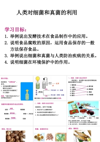 八年级生物上册 5.4.5 人类对细菌和真菌的利用课件2 （新版）新人教版
