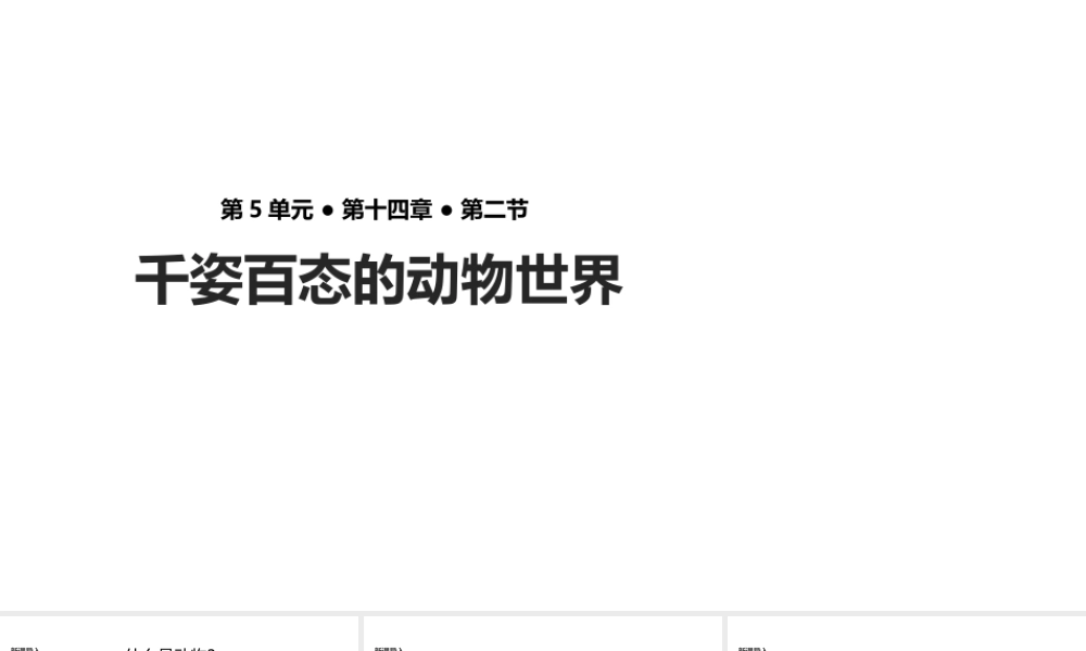 八年级生物上册 5.14.2《千姿百态的动物世界》课件 （新版）苏教版-（新版）苏教级上册生物课件