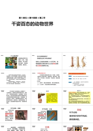 八年级生物上册 5.14.2《千姿百态的动物世界》课件 （新版）苏教版-（新版）苏教级上册生物课件