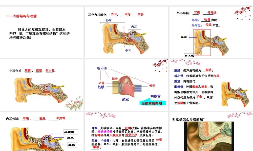 八年级生物上册 6.16.2人体对信息的感知（耳和听觉）课件2 （新版）苏科版-（新版）苏科版初中八年级上册生物课件