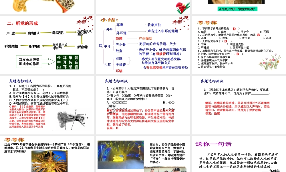 八年级生物上册 6.16.2人体对信息的感知（耳和听觉）课件2 （新版）苏科版-（新版）苏科版初中八年级上册生物课件