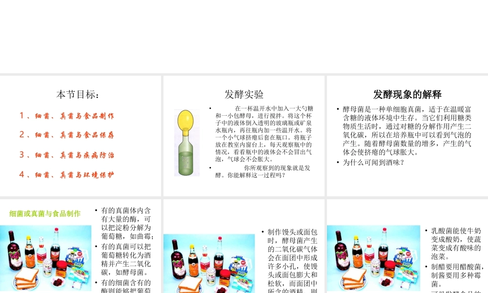 八年级生物上册 5.4.5 人类对细菌和真菌的利用课件3 （新版）新人教版