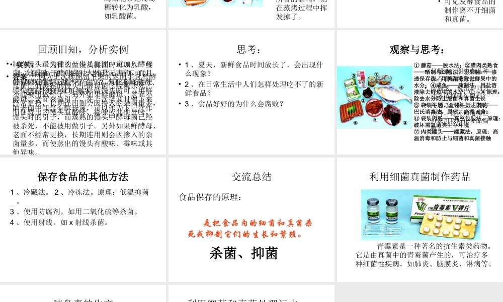 八年级生物上册 5.4.5 人类对细菌和真菌的利用课件3 （新版）新人教版