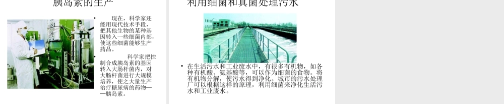 八年级生物上册 5.4.5 人类对细菌和真菌的利用课件3 （新版）新人教版