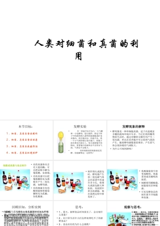 八年级生物上册 5.4.5 人类对细菌和真菌的利用课件3 （新版）新人教版