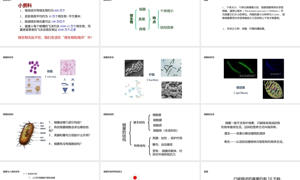 八年级生物上册 5.14.3《神奇的微生物》课件 （新版）苏教版-（新版）苏教版初中八年级上册生物课件