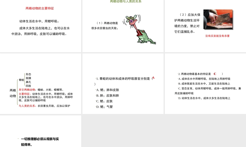 八年级生物上册 7.1.5《两栖类和爬行类》（第1课时）课件 鲁科版五四制-鲁科级上册生物课件