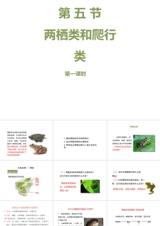 八年级生物上册 7.1.5《两栖类和爬行类》（第1课时）课件 鲁科版五四制-鲁科级上册生物课件
