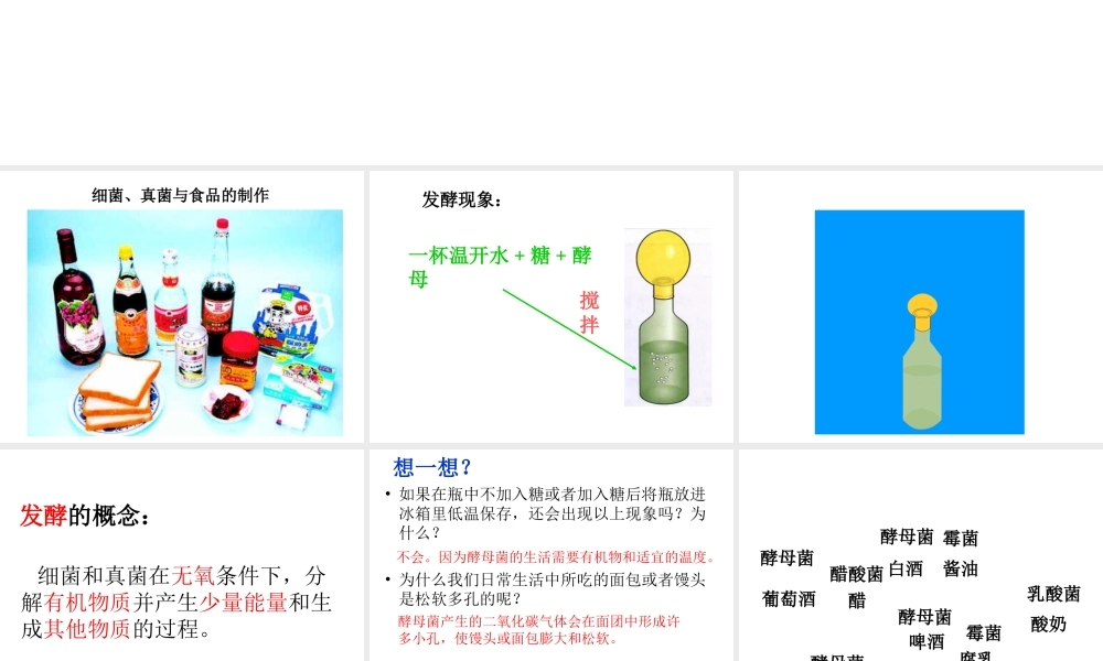 八年级生物上册 5.4.5 人类对细菌和真菌的利用课件4 （新版）新人教版