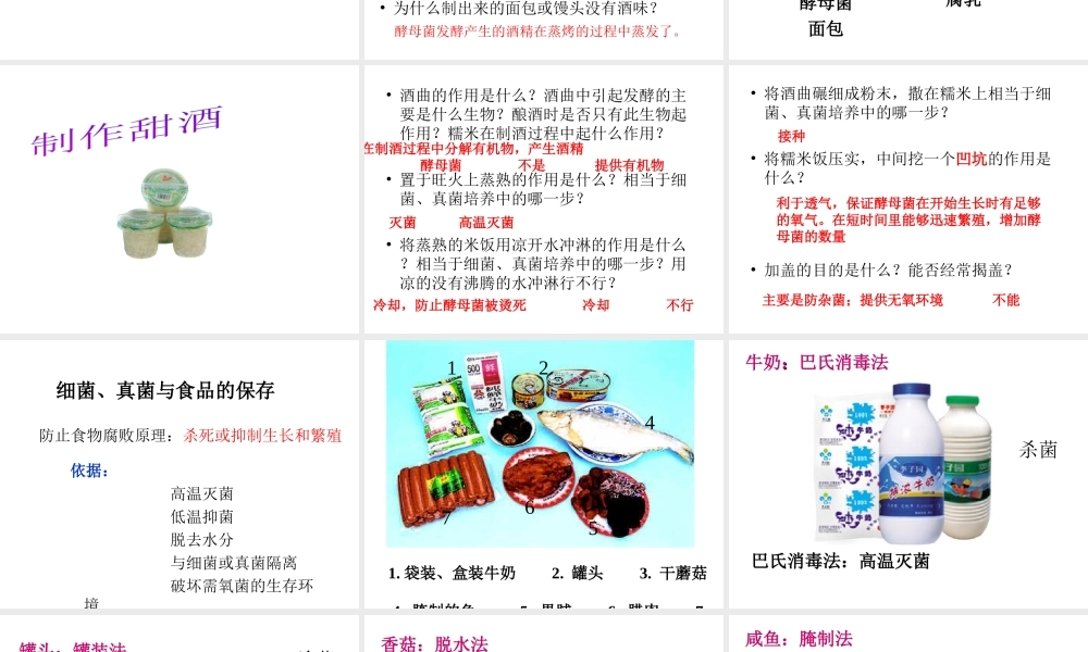 八年级生物上册 5.4.5 人类对细菌和真菌的利用课件4 （新版）新人教版