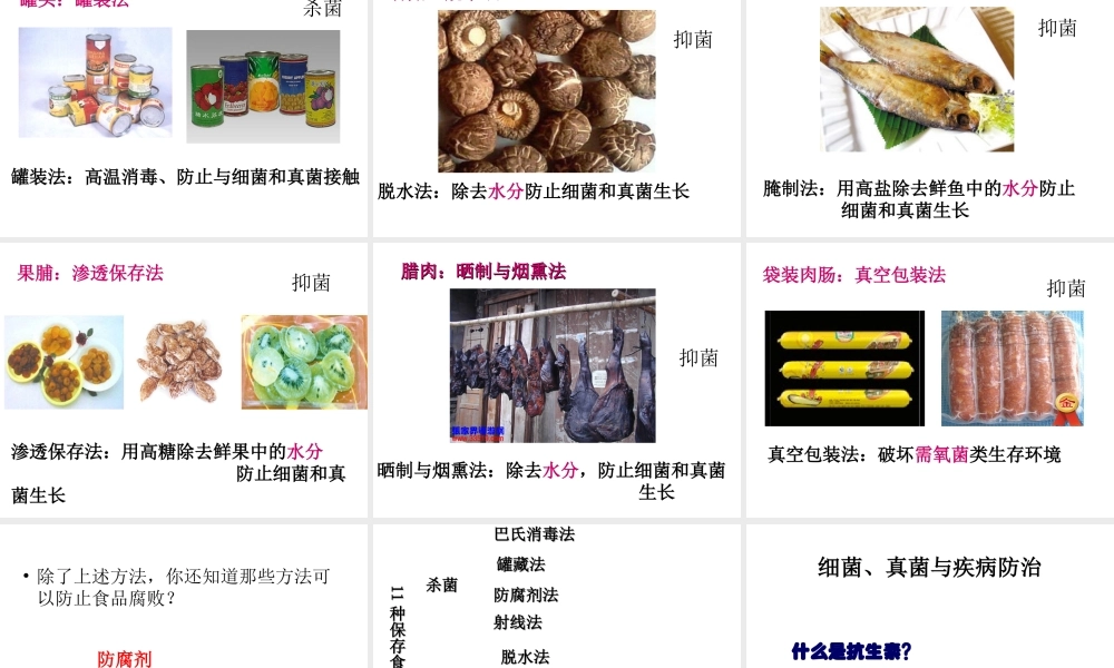 八年级生物上册 5.4.5 人类对细菌和真菌的利用课件4 （新版）新人教版