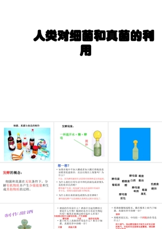 八年级生物上册 5.4.5 人类对细菌和真菌的利用课件4 （新版）新人教版