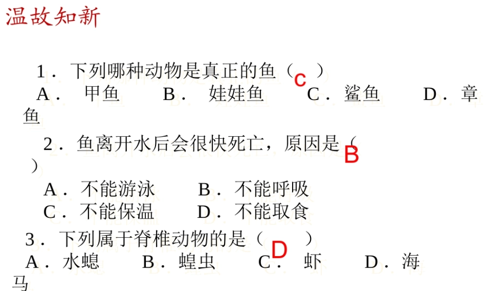 八年级生物上册 5.1.5两栖动物和爬行动物课件 （新版）新人教版-（新版）新人教版初中八年级上册生物课件