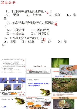 八年级生物上册 5.1.5两栖动物和爬行动物课件 （新版）新人教版-（新版）新人教版初中八年级上册生物课件