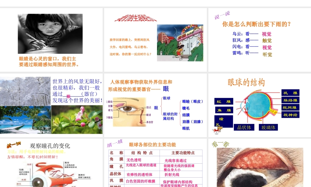 八年级生物上册 6.16.2人体对信息的感知（眼与视觉）课件1 （新版）苏科版-（新版）苏科版初中八年级上册生物课件