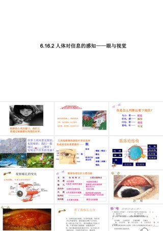 八年级生物上册 6.16.2人体对信息的感知（眼与视觉）课件1 （新版）苏科版-（新版）苏科版初中八年级上册生物课件
