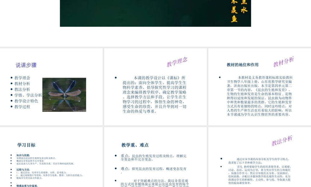 八年级生物上册 昆虫的生殖和发育1课件 苏教版