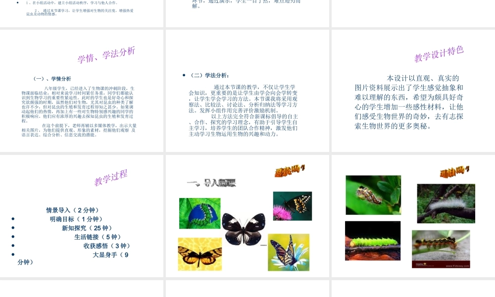 八年级生物上册 昆虫的生殖和发育1课件 苏教版