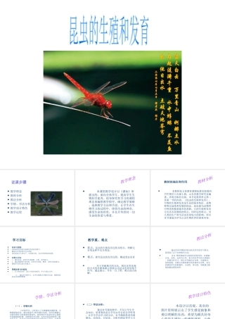 八年级生物上册 昆虫的生殖和发育1课件 苏教版