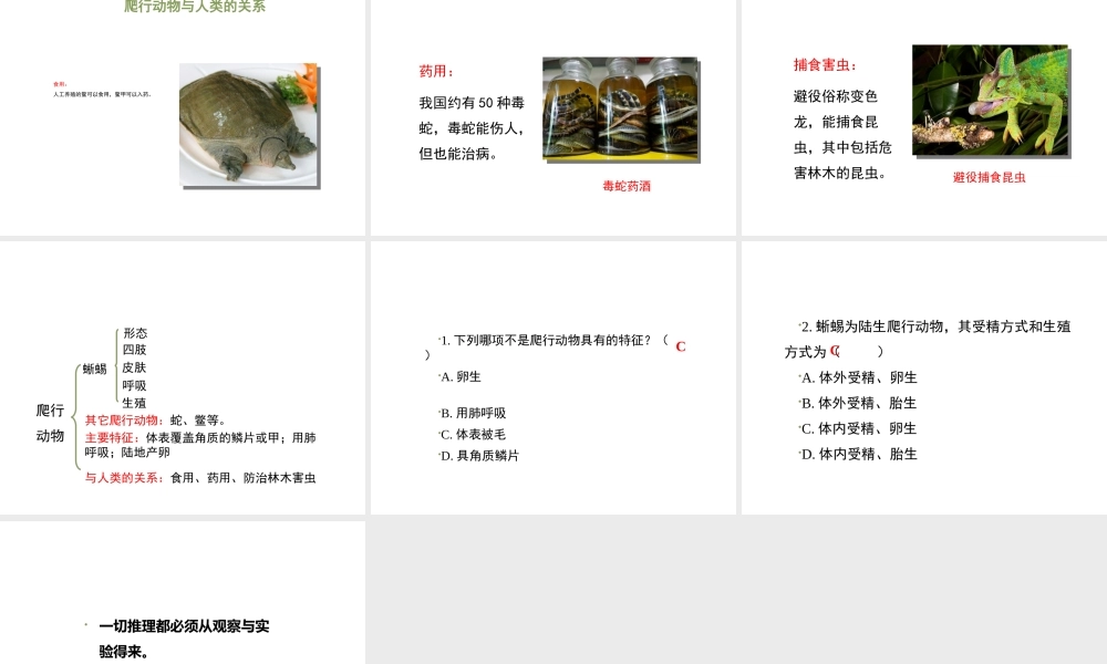 八年级生物上册 7.1.5《两栖类和爬行类》（第2课时）课件 鲁科版五四制-鲁科版初中八年级上册生物课件