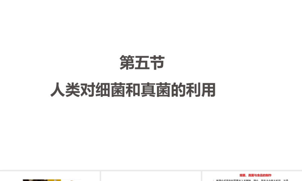 八年级生物上册 5.4.5《人类对细菌和真菌的利用》课件 （新版）新人教版-（新版）新人教版初中八年级上册生物课件